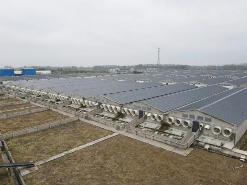 圖片23.png 圖片23.png